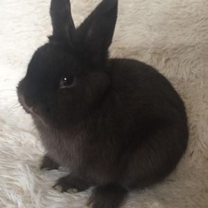 Meet your Posher, Katherine